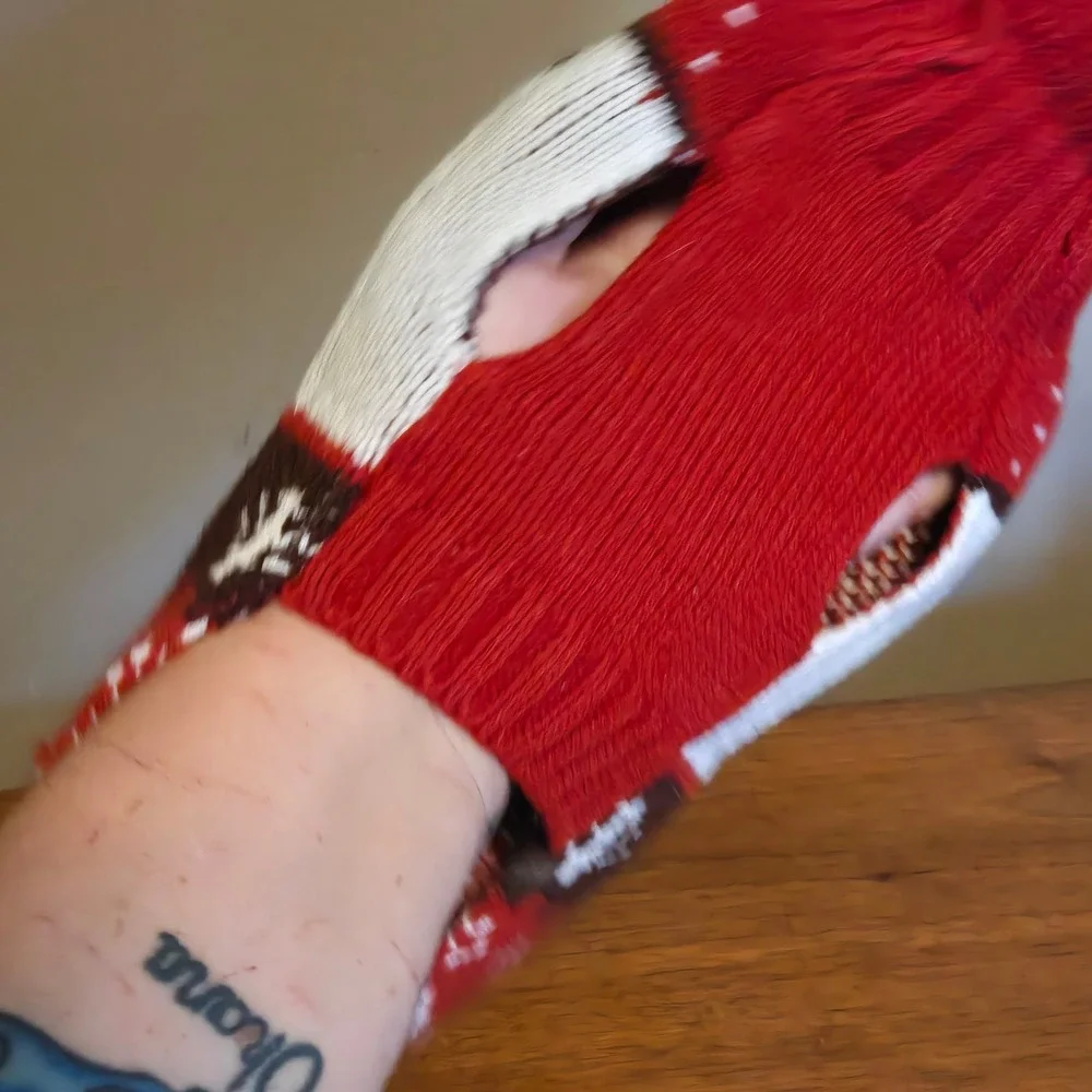 Frisco Fair Isle Moose Dog Sweater Red White XS Holiday Knit 358257